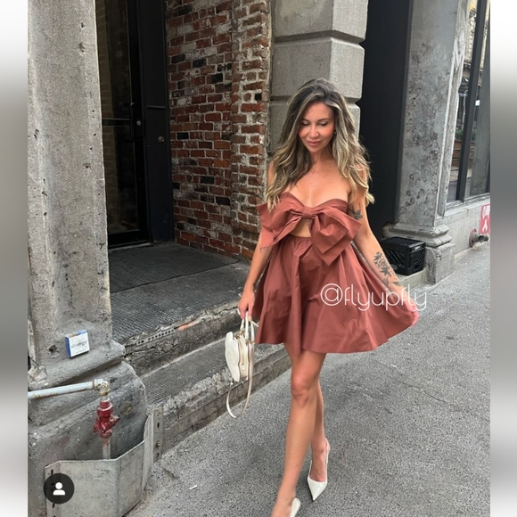 ZARA Bow Mini Dress Brown - Picture 10 of 16